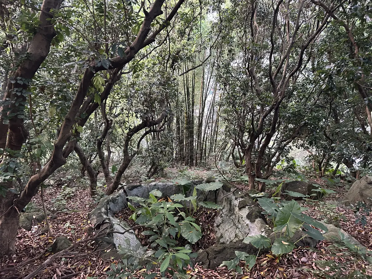 蓄水池