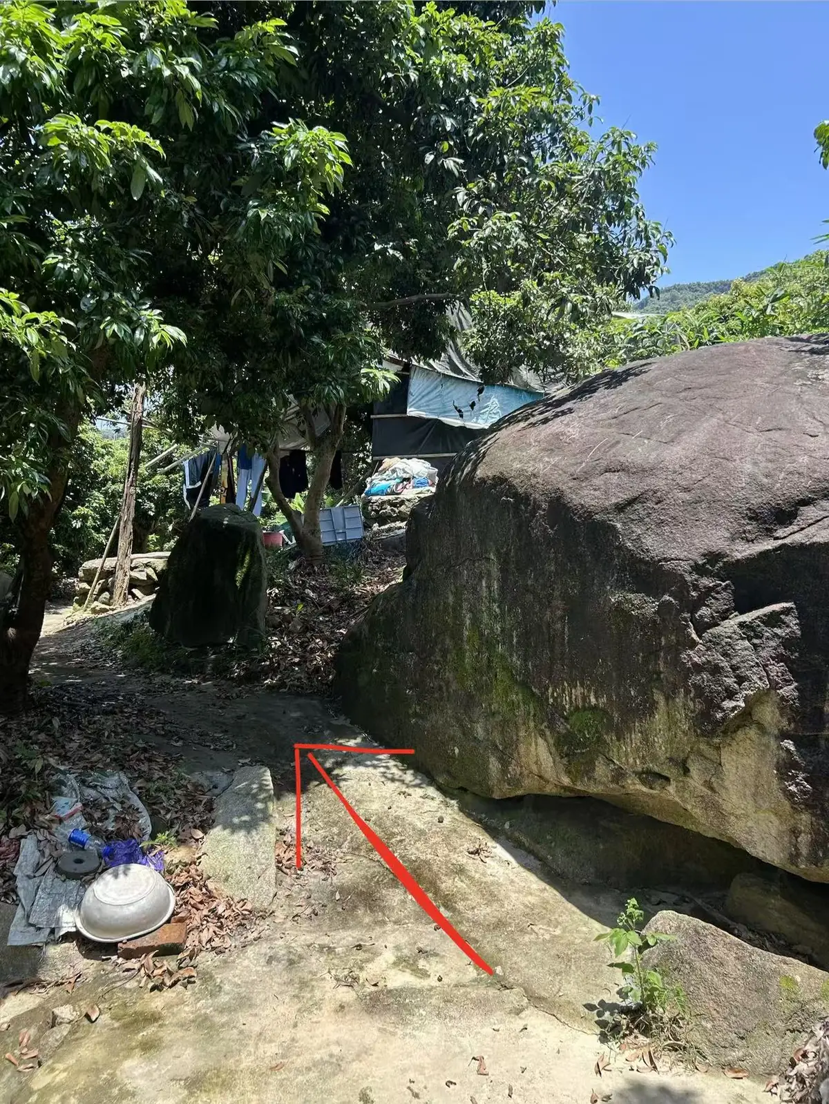 农家小院