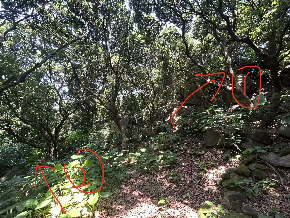 岔路口