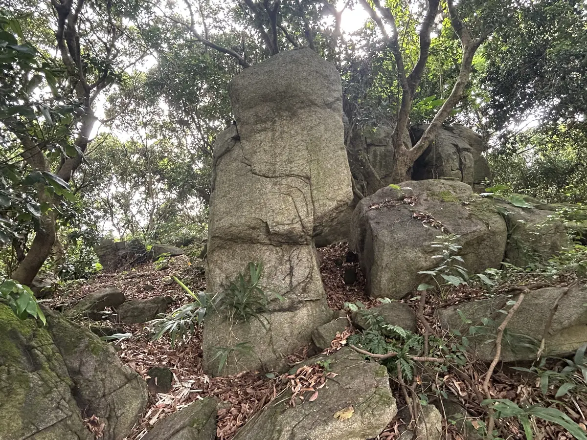 二号野抱区
