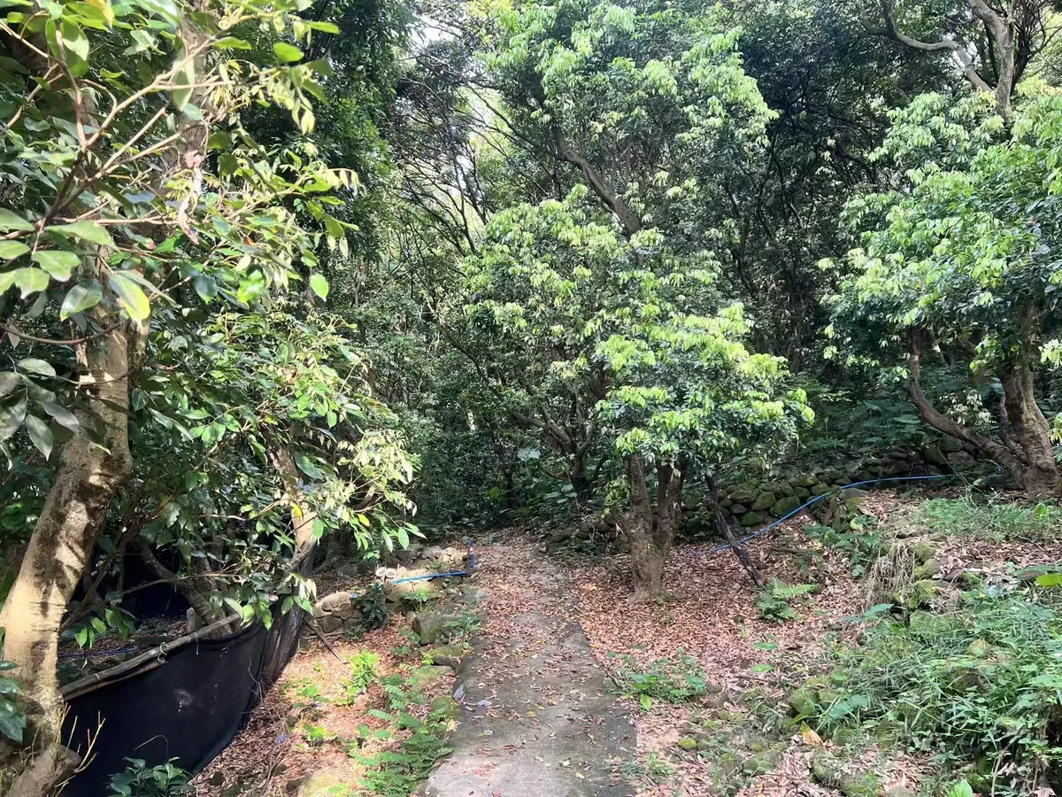 排水沟