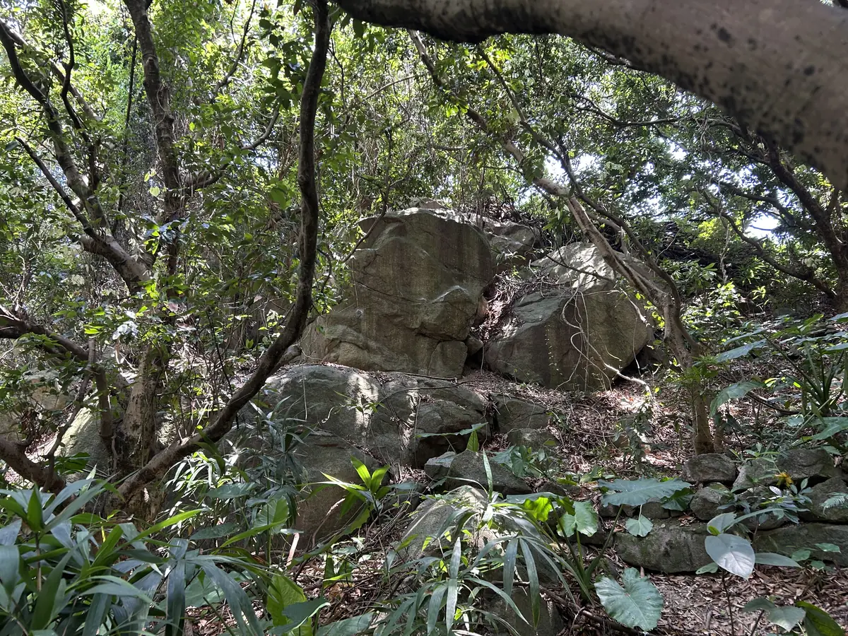 一号野抱区